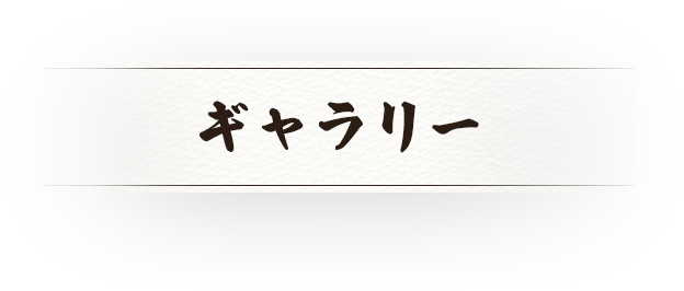 ギャラリー